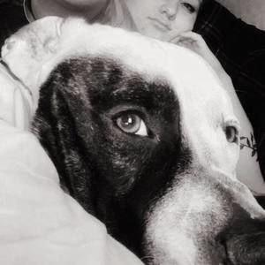 Meet your Posher, Savannah